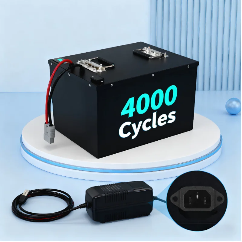 Batteria LIFEPO4 con BMS 72V 8 - 72V 40Ah Lifepo4 Battery Pack recensione e prezzo